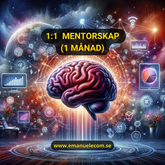 1:1 Mentorskap med Emanuel (1 månad)